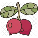 Lingonberry  Icon