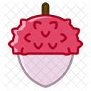 Litchi Frutas Ajuste Icono