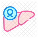 Liver Cancer  Icon