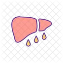 Liver Disease Fatty Liver Liver Icon