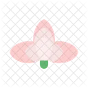 Lotus  Icon