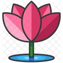 Lotus  Symbol