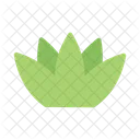 Lotus Flower Spa Icon