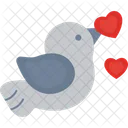 Love Bird Love Bird Icon