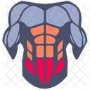 Lower abdominals  Icon