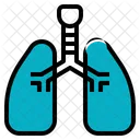 Lung Respiration Breath Icon