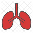 Lung Medical Organ Icon