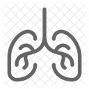 Lung Organ Respiratory Icon