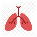 Lung Icon