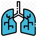 Lung Organ Anatomy Icon