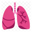 Lung Icon