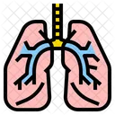 Lung Medical Medicine Icon