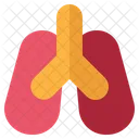 Lung Anatomy Respiratory アイコン