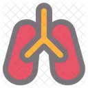 Lung Anatomy Respiratory アイコン