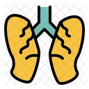 Lung Medical Medicine Icon