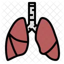 Lung  Icon