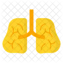 Lung Organ Covid 19 Icon