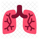 Lung  Icon