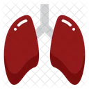 Lung  Icon