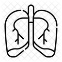 Lung Respiratory Pulmonary Icon