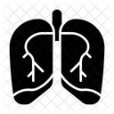 Lung Respiratory Pulmonary Icon