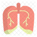 Lung Respiratory Pulmonary Icon