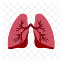 Lung  Icon