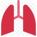 Lung Respiratory Organ Icon