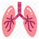 Lung  Icon