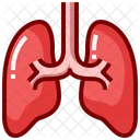 Lung  Icon