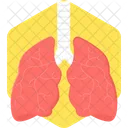 Lungs  Icon