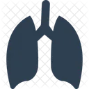 Lungs Anatomy Breathe Icon