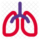 Lungs Organ Anatomy Icon