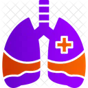 Lungs  Icon