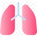 Lungs Organ Anatomy Icon