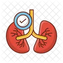 Lungs  Icon