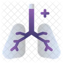 Lungs  Icon