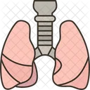 Lungs Respiratory Chest Symbol