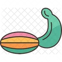 Lure  Icon