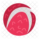 Lychee Fruit Food Icon