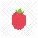 Lychee Redmulberry Fruit Icon