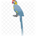 Bird Feather Creature Macaw Icon