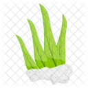 Seaweed Aquaculture Marine Alga Icon