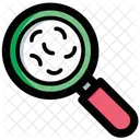 Magnifier Bacteria Laboratory Icon