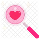 Magnifying Glass  Icon