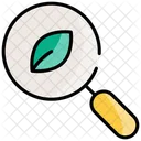 Magnifying glass and leaf  Icon