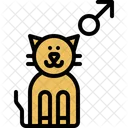 Male Pussycat Domestic Icon