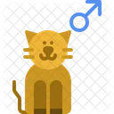 Male cat  Icon