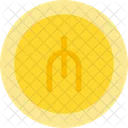 Manat  Icon