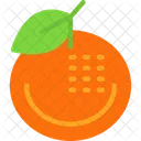 Mandarin orange  Icon